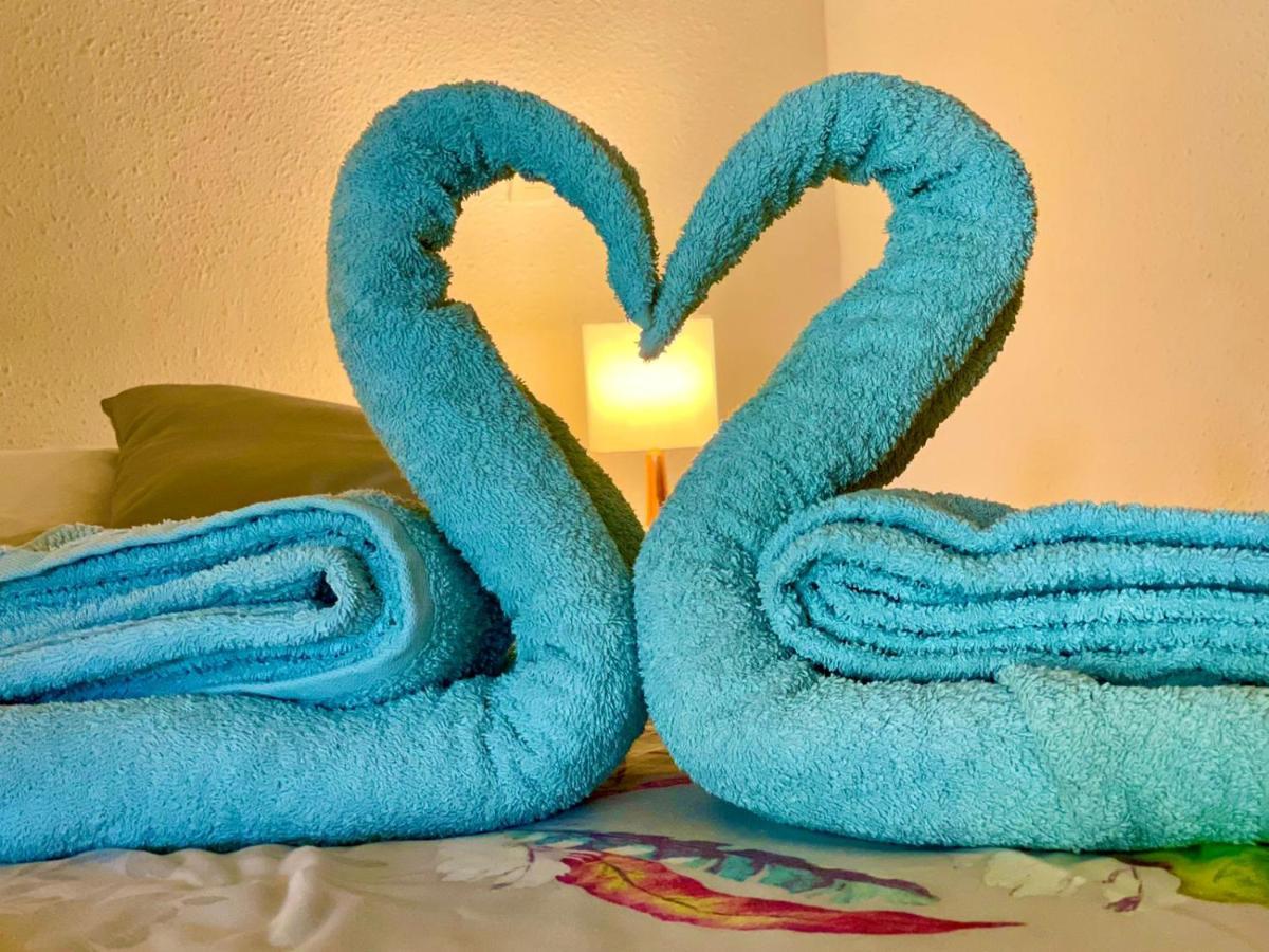 La Playa - L'Appartement Cozy - 2 A 5 Personnes Sainte-Anne  Zewnętrze zdjęcie