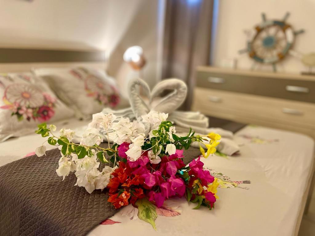 La Playa - L'Appartement Cozy - 2 A 5 Personnes Sainte-Anne  Zewnętrze zdjęcie