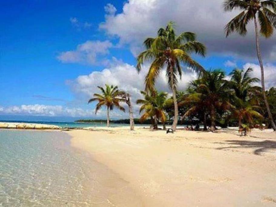 La Playa - L'Appartement Cozy - 2 A 5 Personnes Sainte-Anne  Zewnętrze zdjęcie
